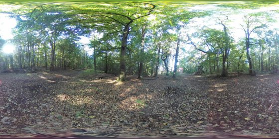 Play 'VR 360° - Dachsi Wanderweg & Ludwigshalle