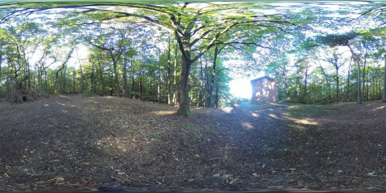 Play 'VR 360° - Dachsi Wanderweg & Ludwigshalle