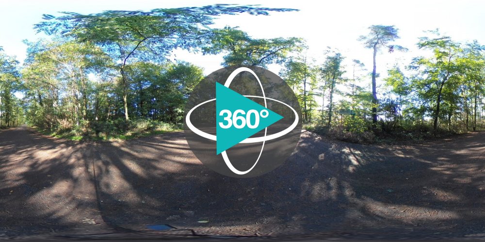 Play 'VR 360° - Dachsi Wanderweg & Ludwigshalle