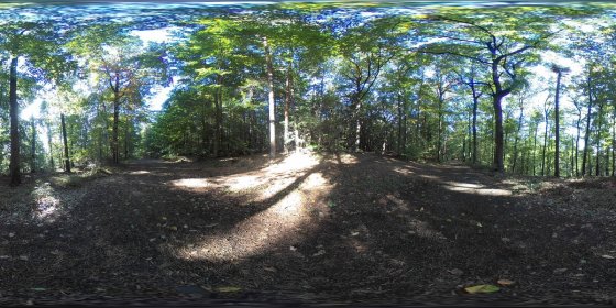 Play 'VR 360° - Dachsi Wanderweg & Ludwigshalle