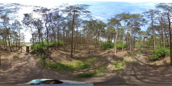 Play 'VR 360° - Rietzer Berg - Garten der Unendlichkeit