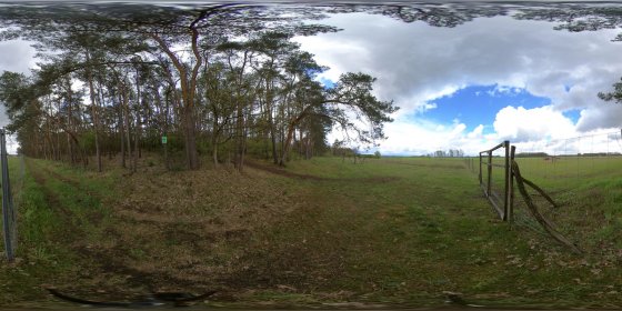 Play 'VR 360° - Rietzer Berg - Garten der Unendlichkeit