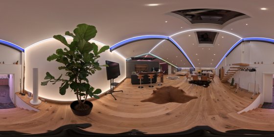 Play 'VR 360° - Rundgang_Merkle_01