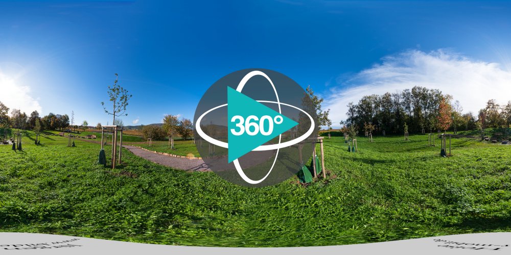 Play 'VR 360° - Klima Arboretum