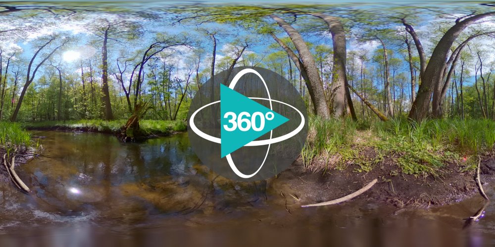 Play 'VR 360° - Auf den Spuren des Fischotters
