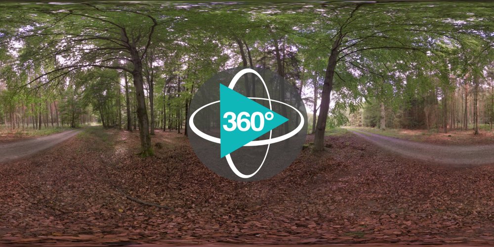 Play 'VR 360° - Digital Forest Lab Haselberg