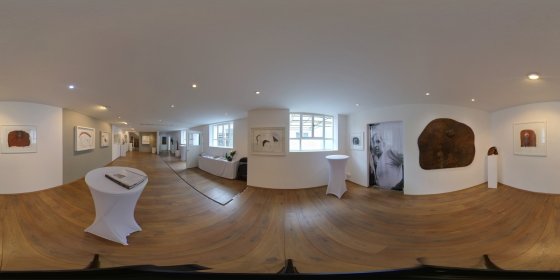 Play 'VR 360° - HLP-Galerie