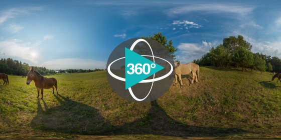 Play 'VR 360° - Landwirtschaft