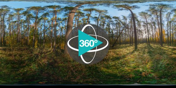 Play 'VR 360° - Natur