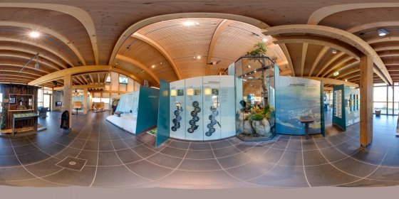 Play 'VR 360° - Naturpfad_Feldberg
