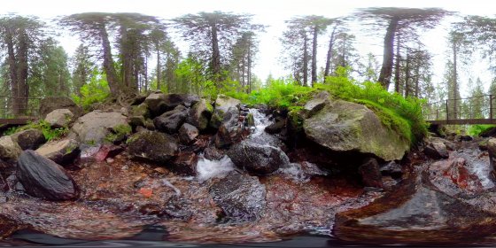 Play 'VR 360° - Naturpfad_Feldberg