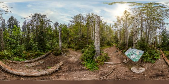 Play 'VR 360° - Naturpfad_Feldberg