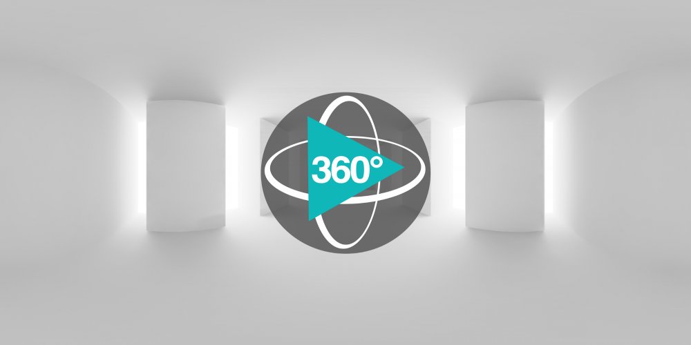 Play 'VR 360° - Staune