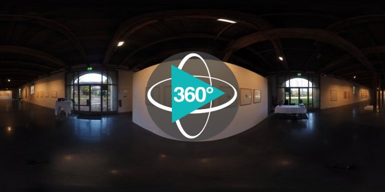 Play 'VR 360° - Werner Henkel - Natur lesen