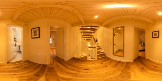 Play 'VR 360° - Friesen Lodge