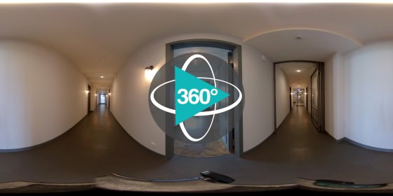 Play 'VR 360° - NW_FFT_NeonSilver1