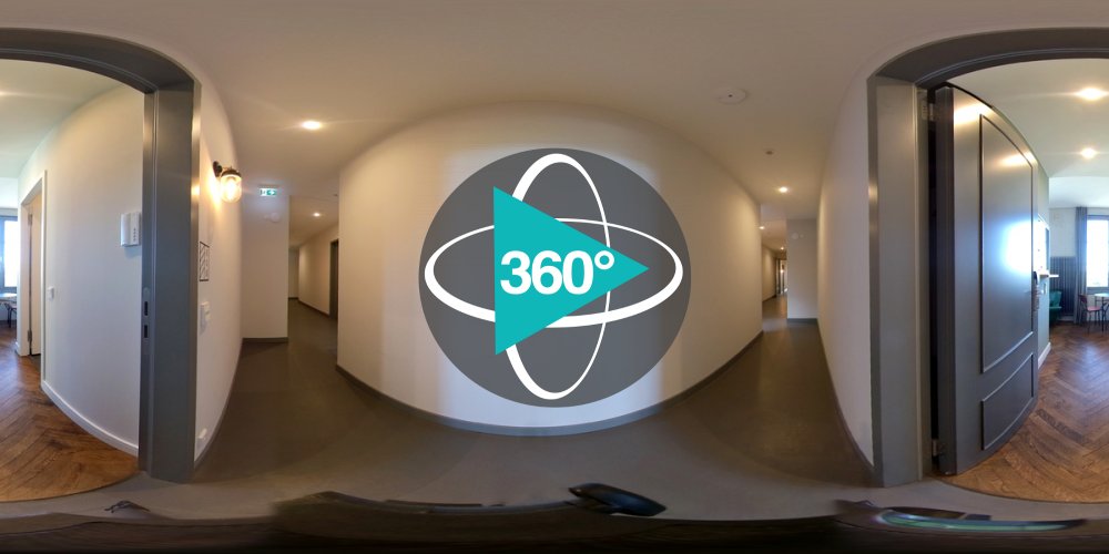 Play 'VR 360° - NW_FFT_NeonSilver2
