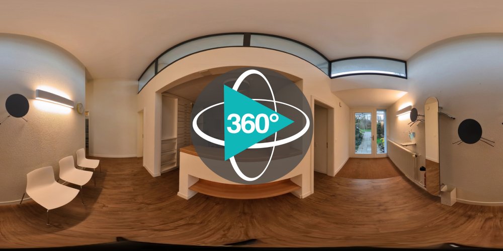 Play 'VR 360° - Nephro Am Wald roh