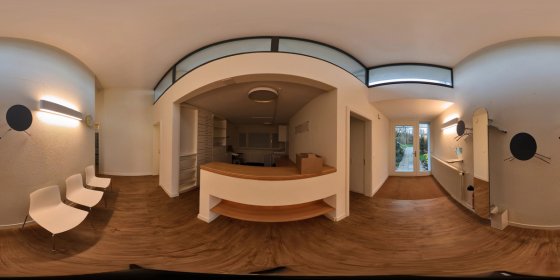 Play 'VR 360° - Nephro Am Wald roh