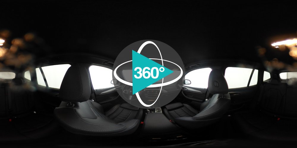 Play 'VR 360° - C81444_BMW_X3e