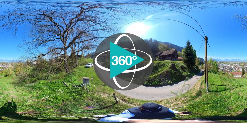 Play 'VR 360° - 6845_Lehenstrasse