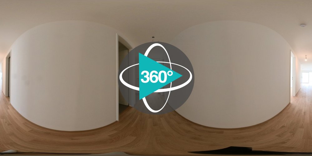Play 'VR 360° - 6832_Walgaustrasse26_A2