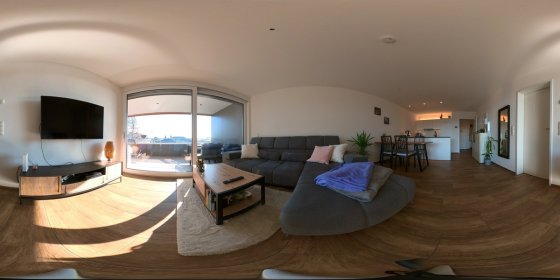 Play 'VR 360° - 6833_Dammweg 45