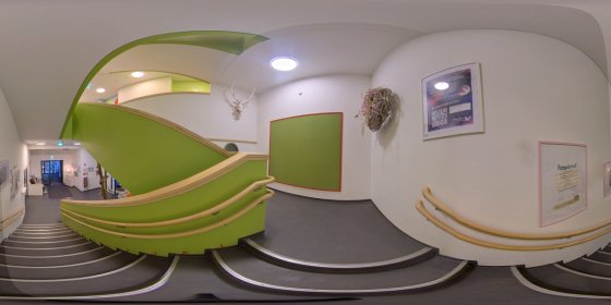 Play 'VR 360° - Rundgang Kita Tarsius