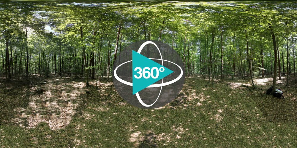 Play 'VR 360° - HNEE_Marteloscope_Möllergrab_2018_2019_2021