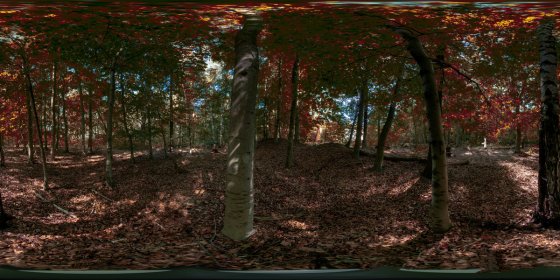 Play 'VR 360° - halloween