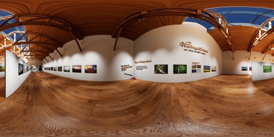 Play 'VR 360° - Kunst Ausstellung