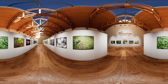 Play 'VR 360° - Kunst Ausstellung