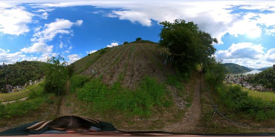 Play 'VR 360° - Bacharach Tour