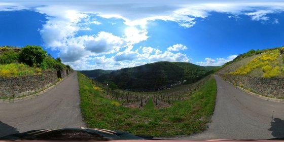 Play 'VR 360° - Bacharach Tour