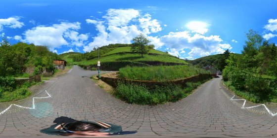 Play 'VR 360° - Bacharach Tour