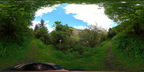 Play 'VR 360° - Bacharach Tour Natur entdecken