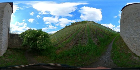 Play 'VR 360° - Bacharach Tour Natur entdecken