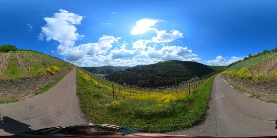 Play 'VR 360° - Bacharach Tour Natur entdecken