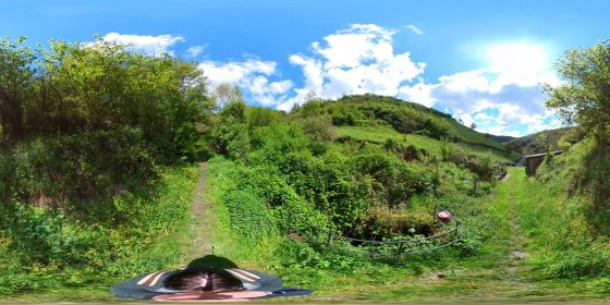 Play 'VR 360° - Bacharach Tour Natur entdecken