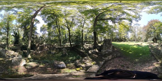 Play 'VR 360° - Disibodenberg