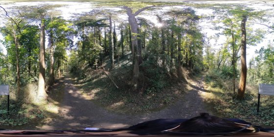 Play 'VR 360° - Disibodenberg