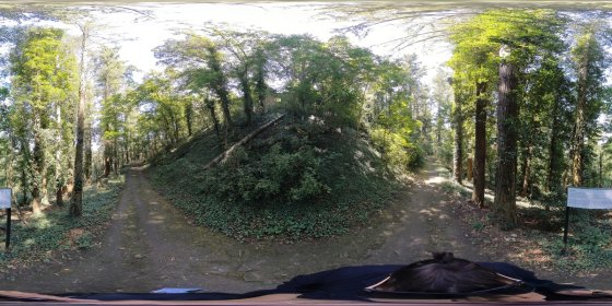 Play 'VR 360° - Disibodenberg