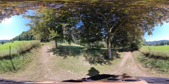 Play 'VR 360° - Klosterruine Disibodenberg