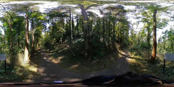 Play 'VR 360° - Klosterruine Disibodenberg